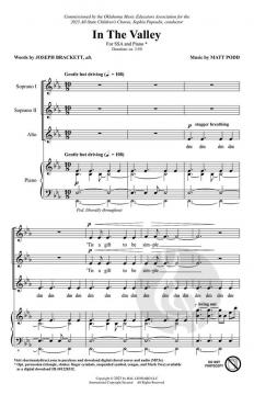 In the Valley von Matt Podd 