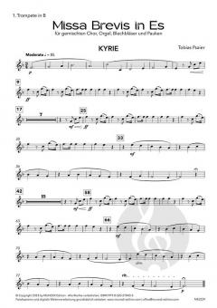 Missa Brevis in Es 