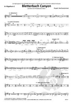 Bletterbach Canyon von Rupert Hechensteiner 