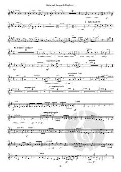 Bletterbach Canyon von Rupert Hechensteiner 