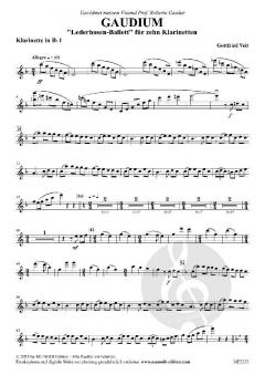Gaudium von Gottfried Veit 