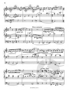 Toccata für Orgel von Samuel de Vrind im Alle Noten Shop kaufen