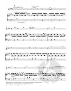 Konzert in E-Dur op. 8/1 "Frühling" 