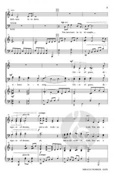 Miracle Worker von Joel Raney 