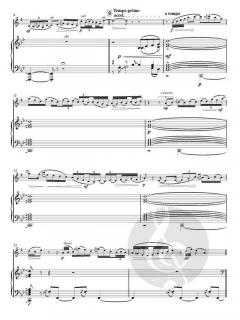 Sunday in the Park von Philip Sparke 