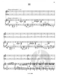 Klavierkonzert Nr. 2 c-Moll op. 18 von Sergei Rachmaninow im Alle Noten Shop kaufen - BH300058