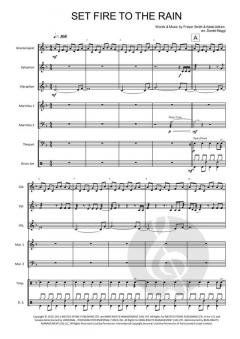 Set Fire to the Rain 