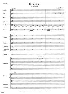Early Light von Carolyn Bremer 