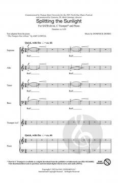 Splitting the Sunlight 