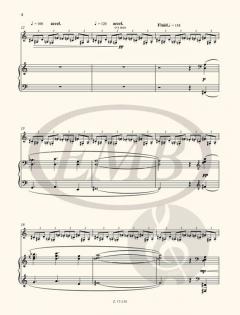 Fun-tasto: Reflection and Exhilaration 