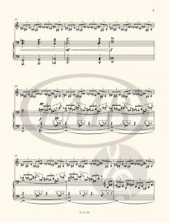 Fun-tasto: Reflection and Exhilaration 