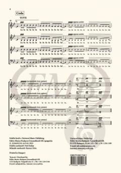 Zulu Nights von Máté Balogh 