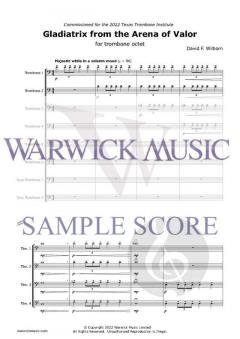 Gladiatrix from the Arena von David F. Wilborn 