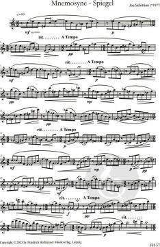 Mnemosyne-Spiegel von Joe Schittino 