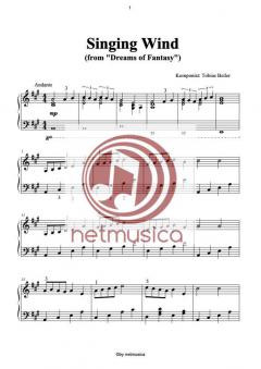 Dreams of Fantasy von Tobias Beiler 