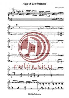 Hummelflug von Takahiko Saito 