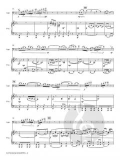 Euphonium Concerto von Satoshi Yagisawa 