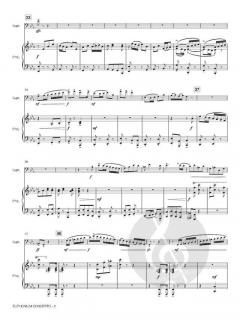 Euphonium Concerto von Satoshi Yagisawa 