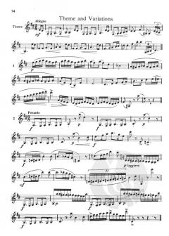 The Clarinet Vol. 1 von Frederick J. Thurston 