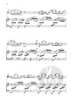 Sonata in D-minor op. 5a von Leopold van der Pals 