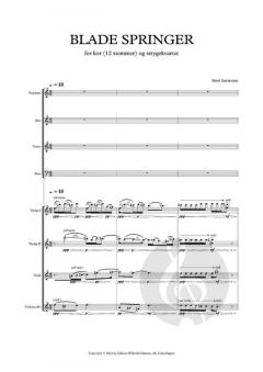Blade Springer von Bent Sørensen 