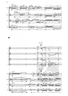 Blade Springer von Bent Sørensen 