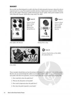 How to Get Great Guitar Tones von Stephen Davis 