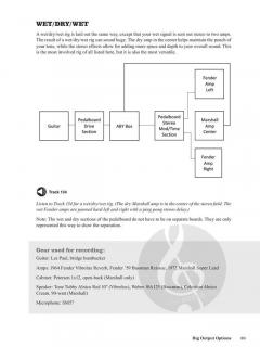 How to Get Great Guitar Tones von Stephen Davis 