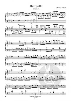 Das Konzert der Vögel von Matthias Böhlert 