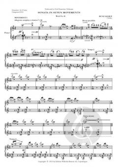 Sonata in 7 Movements von Rune Glerup 