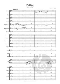 Spring And Autumn Symphonic Sketches op. 14 