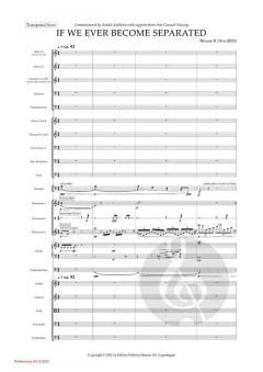 If We Ever Become Separated 