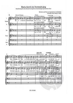 Maria durch ein Dornwald ging 