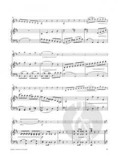 Concertino in D major in the style of Mozart 