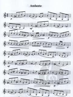 Waldhornetüden für die Mittelstufe 