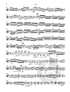 Serenade C-dur op. 48 - Viola 
