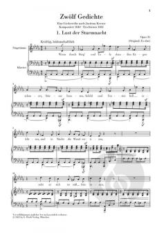 12 Gedichte op. 35 - Liederreihe nach Kerner 