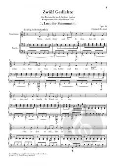 12 Gedichte op. 35 - Liederreihe nach Kerner 