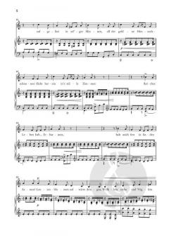 12 Gedichte op. 35 - Liederreihe nach Kerner 