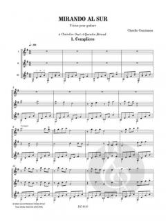 Mirando al sur von Claudio Camisassa 