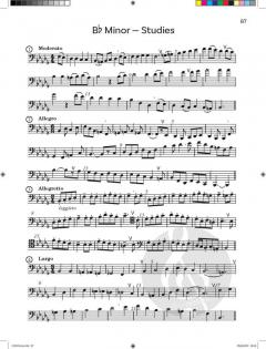 Blow the Bassoon Tutor Book 2 von Sue Taylor 