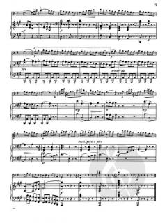 Concerto in A major von Domenico Dragonetti 