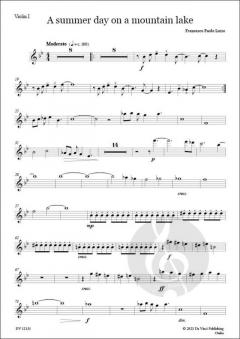 A Summer Day on a Mountain Lake 