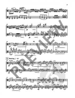 Still Points von Garth Knox 