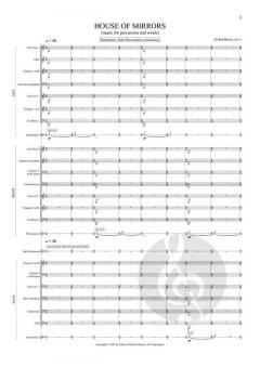 House Of Mirrors von Eivind Buene 