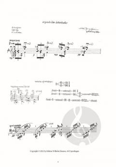 Regndråbe-Interludier von Axel Borup-Jørgensen 