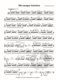 Mit Emsigen Schritten von Britta Byström 