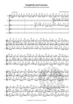 Songbirds And Cannons von Sunleif Rasmussen 