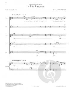 The Lost Birds von Christopher Tin 