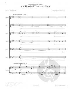 The Lost Birds von Christopher Tin 